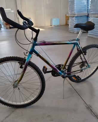 Bicicletta - Bici - Mountain Bike