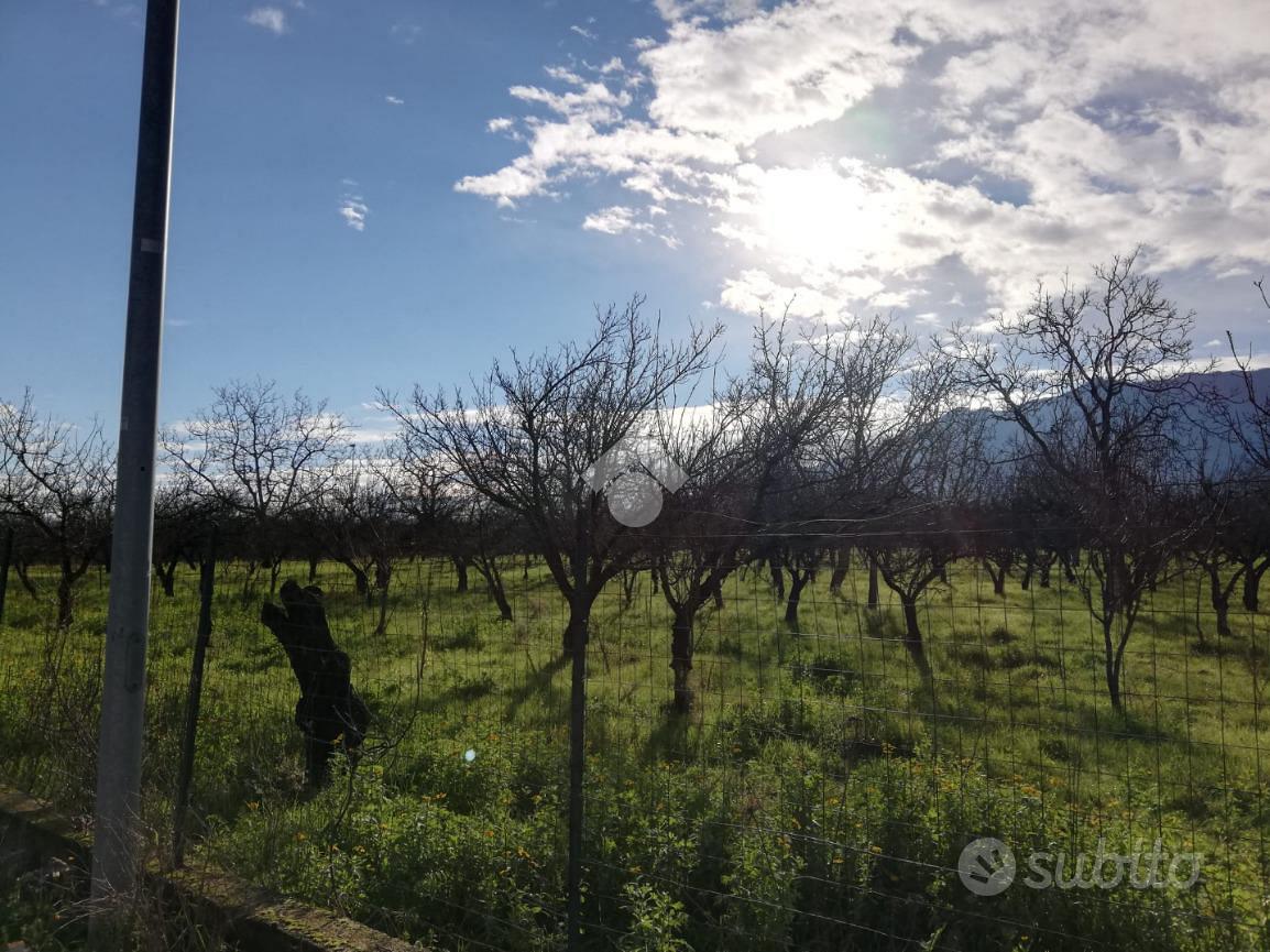 TER. AGRICOLO A SANT'ANASTASIA - Vista 2
