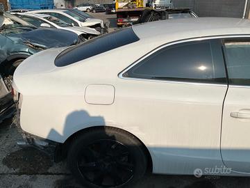 PORTIERA POST. LATO DX AUDI PER RICAMBI