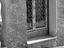 Immagine 15