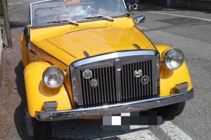 Fiat Siata Spring 850