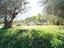 Immagine 16