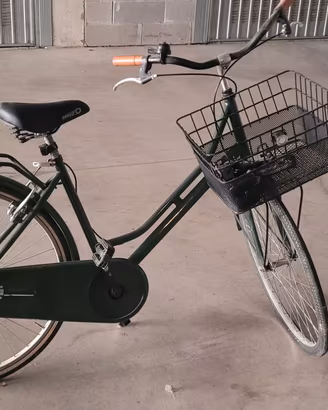 Bicicletta da donna