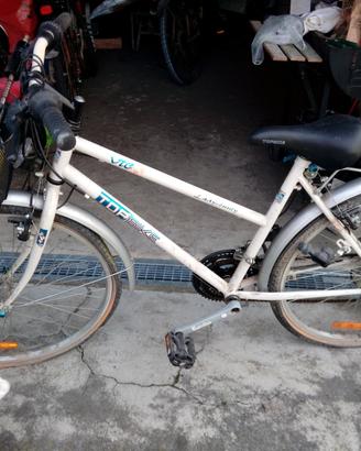 biciclette donna