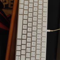 Apple Magic Keyboard e Magic Mouse 2 wireless 