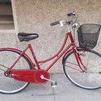 donna ragazza 26 con cestino pronta all'uso 