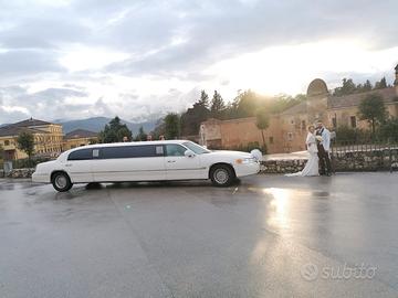 Lincoln  Town car limousine 