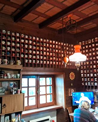 270 tazzine da collezione del mondo.