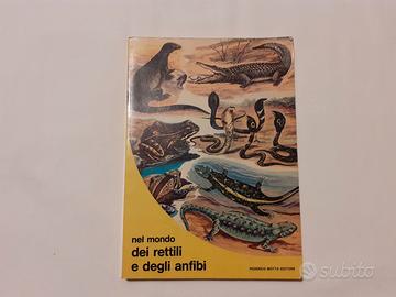 Nel mondo dei rettili e degli anfibi