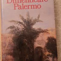 romanzo " Dimenticare Palermo "