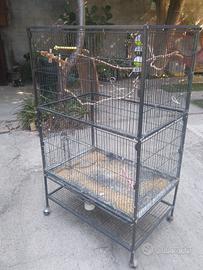 gabbia per cocorite, calopsiti, inseparabili