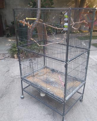 gabbia per cocorite, calopsiti, inseparabili