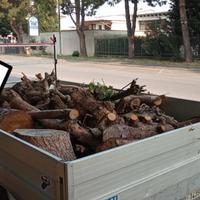 Ritiro Legna Gratis