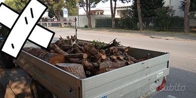 Ritiro Legna Gratis