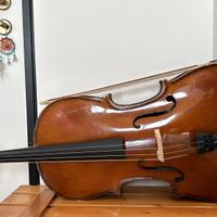 Violoncello