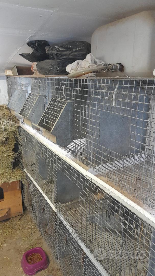 Gabbie per conigli - Accessori per animali In vendita a Lecco