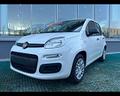 fiat-pandina-iii-2024-pandina-1-0-firefly-u8636