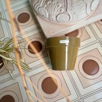 Vaso country