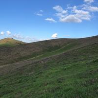 Terreno agricolo 7 ettari