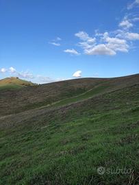 Terreno agricolo 7 ettari