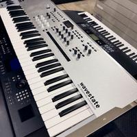 KORG WAVESTATE PLATINUM SE + CUSTODIA