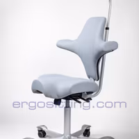 Sedia ergonomica Hag Capisco 8107 grigio