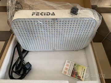 Led Grow Fecida