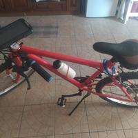 bici usata