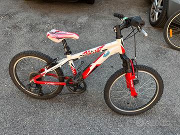 Bicicletta bambino/a