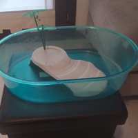 Tartarughiera in plastica