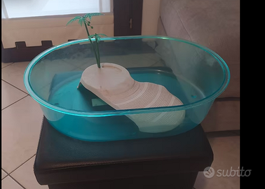 Tartarughiera in plastica