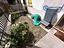 Immagine 11