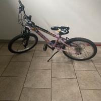 Bicicletta bambina 20””