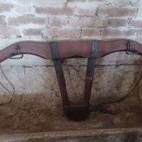 Gioghi antichi buoi fine 800 