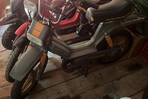 Piaggio superbravo