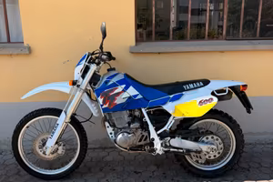 TT 600