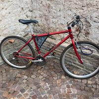 Bicicletta