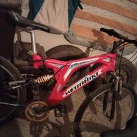 bicicletta