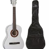 Chitarra Eko con custodia e scatola