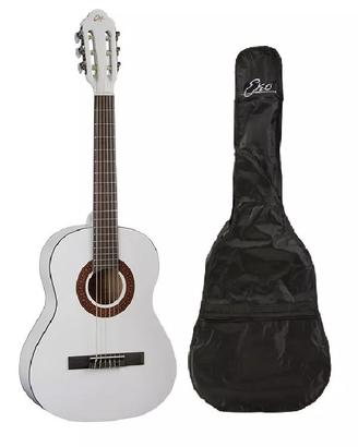 Chitarra Eko con custodia e scatola