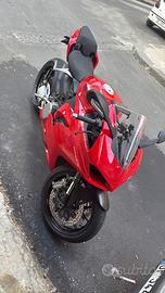 Ducati panigale V2 955