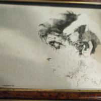 quadro 