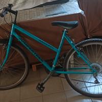 Bici Mtb 