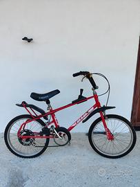 Bici Carraro Cross bambino 