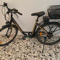 bici elettrica 
