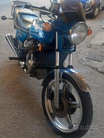 HONDA CX 500