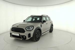 MINI Mini Countryman F60 2020 - Mini Countryman 2.