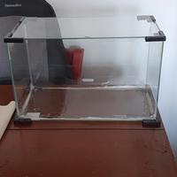 acquario 