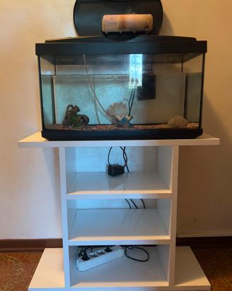 Acquario e tavolo