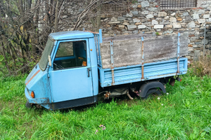 R3g4lo Gasolik 3 ruote con cassone ribaltabile